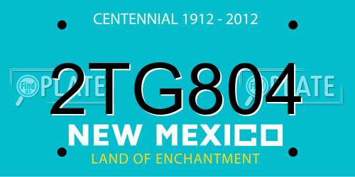 2TG804 New Mexico License Plate