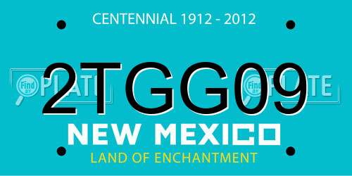 2TGG09 New Mexico License Plate