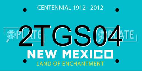 2TGS04 New Mexico License Plate