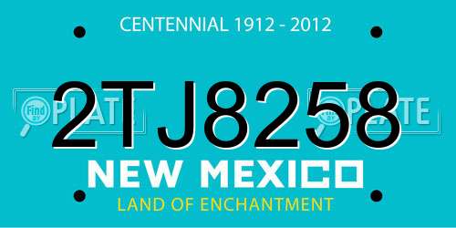 2TJ8258 New Mexico License Plate