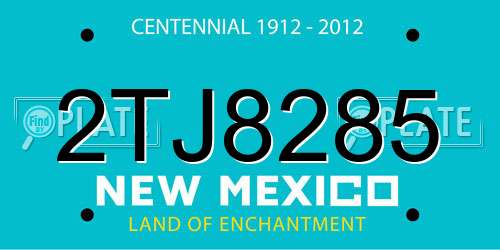 2TJ8285 New Mexico License Plate