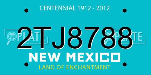 2TJ8788 New Mexico License Plate