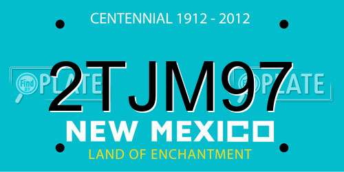 2TJM97 New Mexico License Plate