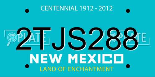 2TJS288 New Mexico License Plate