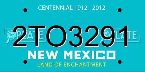 2TO3291 New Mexico License Plate