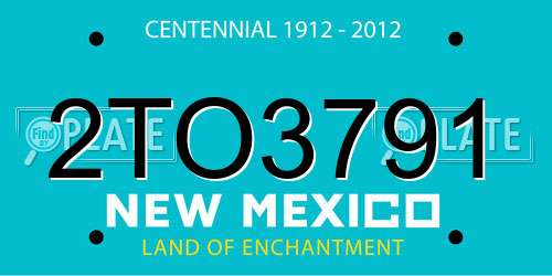2TO3791 New Mexico License Plate