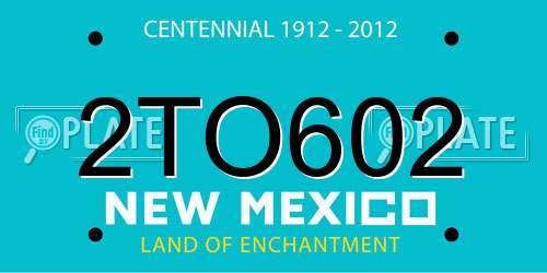 2TO602 New Mexico License Plate