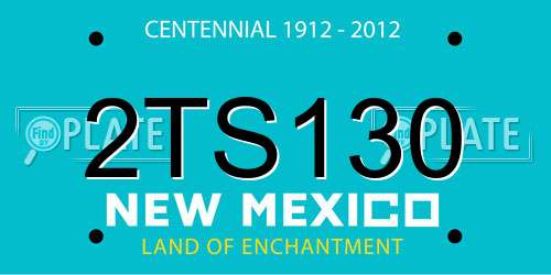 2TS130 New Mexico License Plate