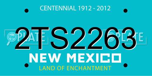 2TS2263 New Mexico License Plate