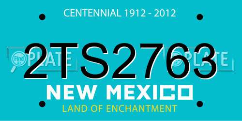 2TS2763 New Mexico License Plate