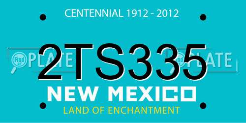 2TS335 New Mexico License Plate