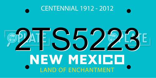 2TS5223 New Mexico License Plate