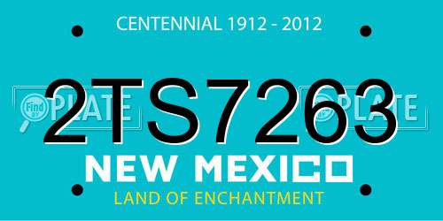 2TS7263 New Mexico License Plate