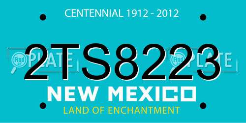 2TS8223 New Mexico License Plate
