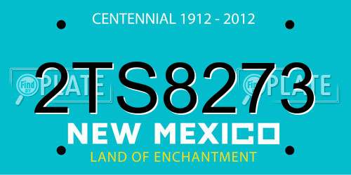 2TS8273 New Mexico License Plate