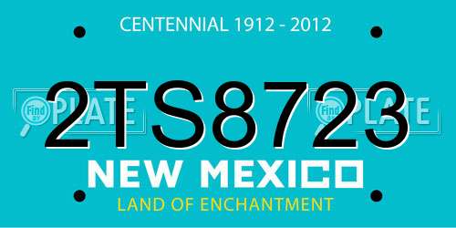 2TS8723 New Mexico License Plate