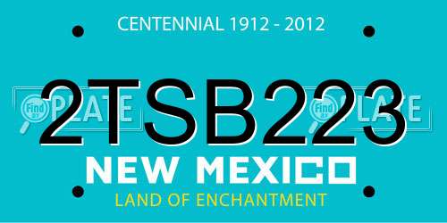 2TSB223 New Mexico License Plate