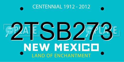 2TSB273 New Mexico License Plate