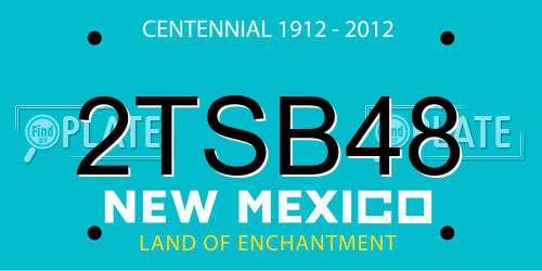 2TSB48 New Mexico License Plate