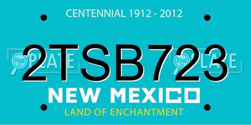 2TSB723 New Mexico License Plate
