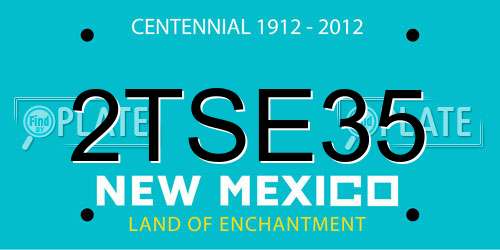 2TSE35 New Mexico License Plate
