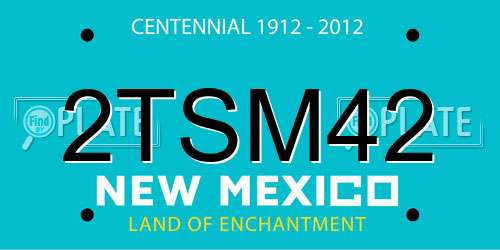 2TSM42 New Mexico License Plate