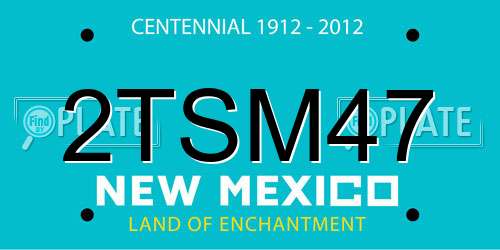 2TSM47 New Mexico License Plate