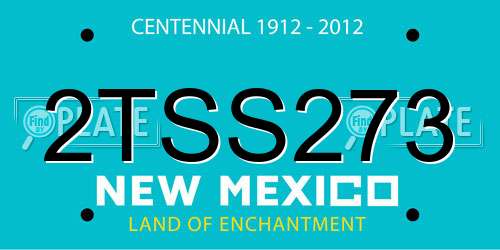 2TSS273 New Mexico License Plate