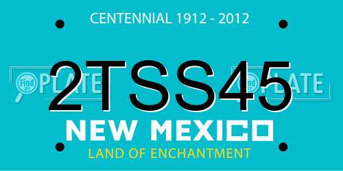 2TSS45 New Mexico License Plate