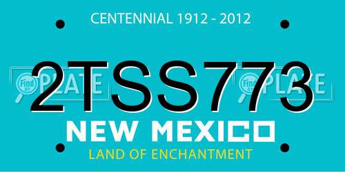 2TSS773 New Mexico License Plate