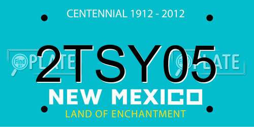 2TSY05 New Mexico License Plate