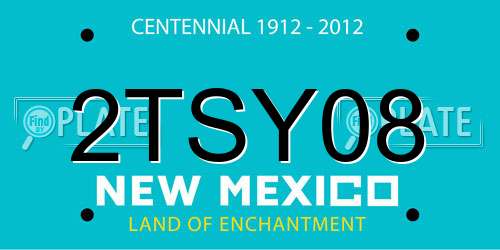 2TSY08 New Mexico License Plate