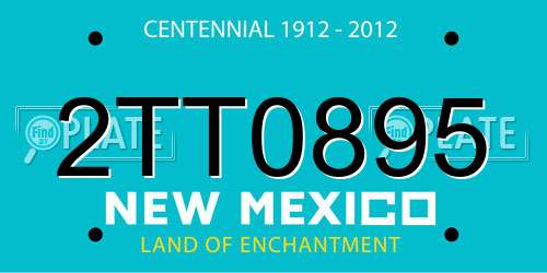 2TT0895 New Mexico License Plate