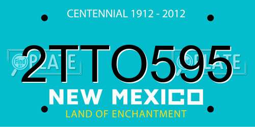 2TTO595 New Mexico License Plate