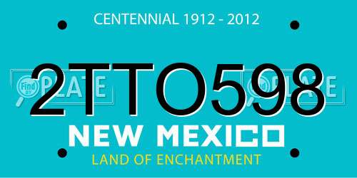 2TTO598 New Mexico License Plate