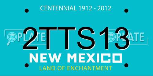 2TTS13 New Mexico License Plate