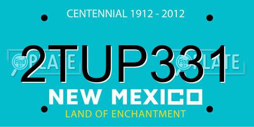 2TUP331 New Mexico License Plate