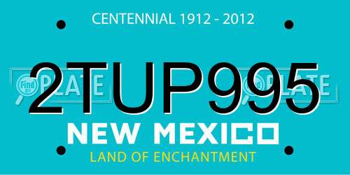 2TUP995 New Mexico License Plate