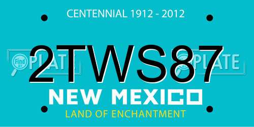 2TWS87 New Mexico License Plate