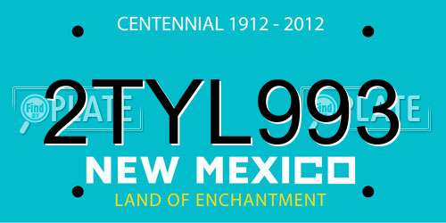 2TYL993 New Mexico License Plate