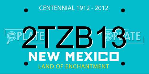 2TZB13 New Mexico License Plate