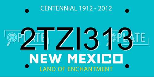 2TZI313 New Mexico License Plate