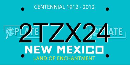 2TZX24 New Mexico License Plate