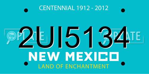 2UI5134 New Mexico License Plate