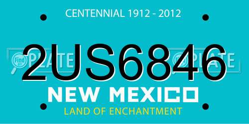 2US6846 New Mexico License Plate