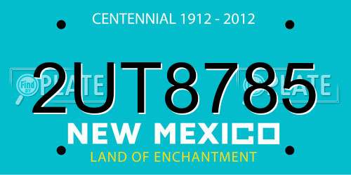 2UT8785 New Mexico License Plate