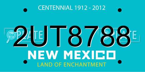 2UT8788 New Mexico License Plate