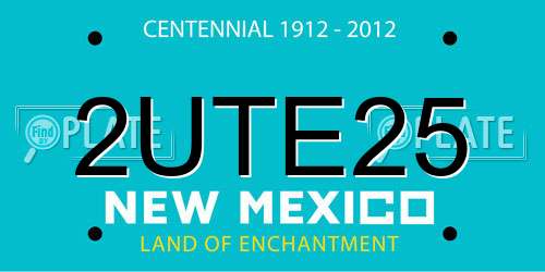 2UTE25 New Mexico License Plate