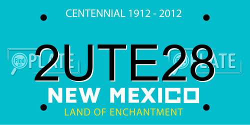 2UTE28 New Mexico License Plate
