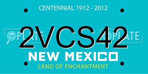 2VCS42 New Mexico License Plate
